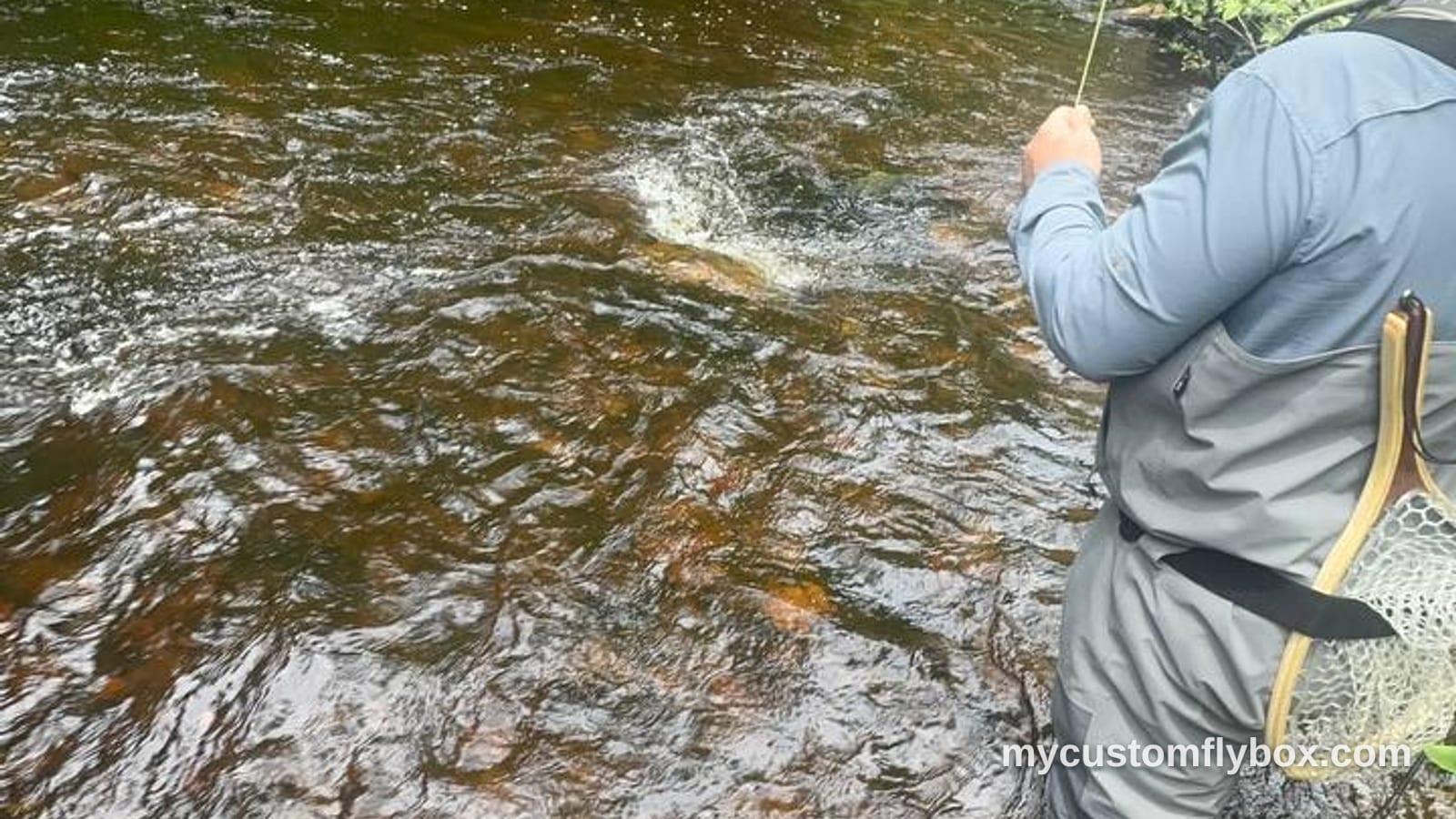 An angler fly fishing in a wooded trout stream