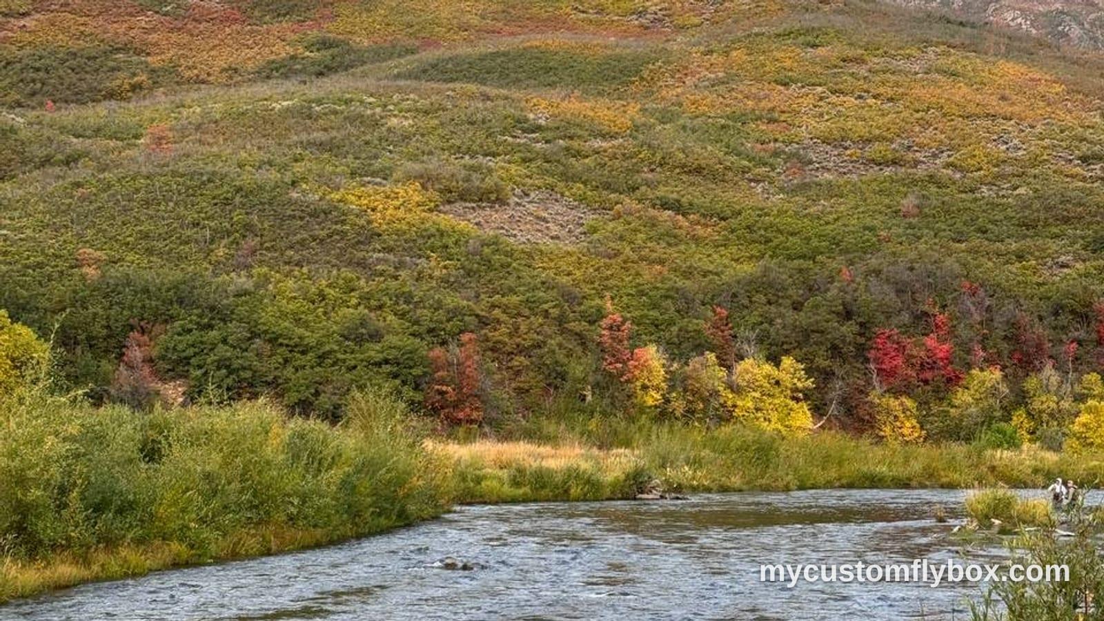 Wide trout river bordered by grassy banks and autumn hillsides