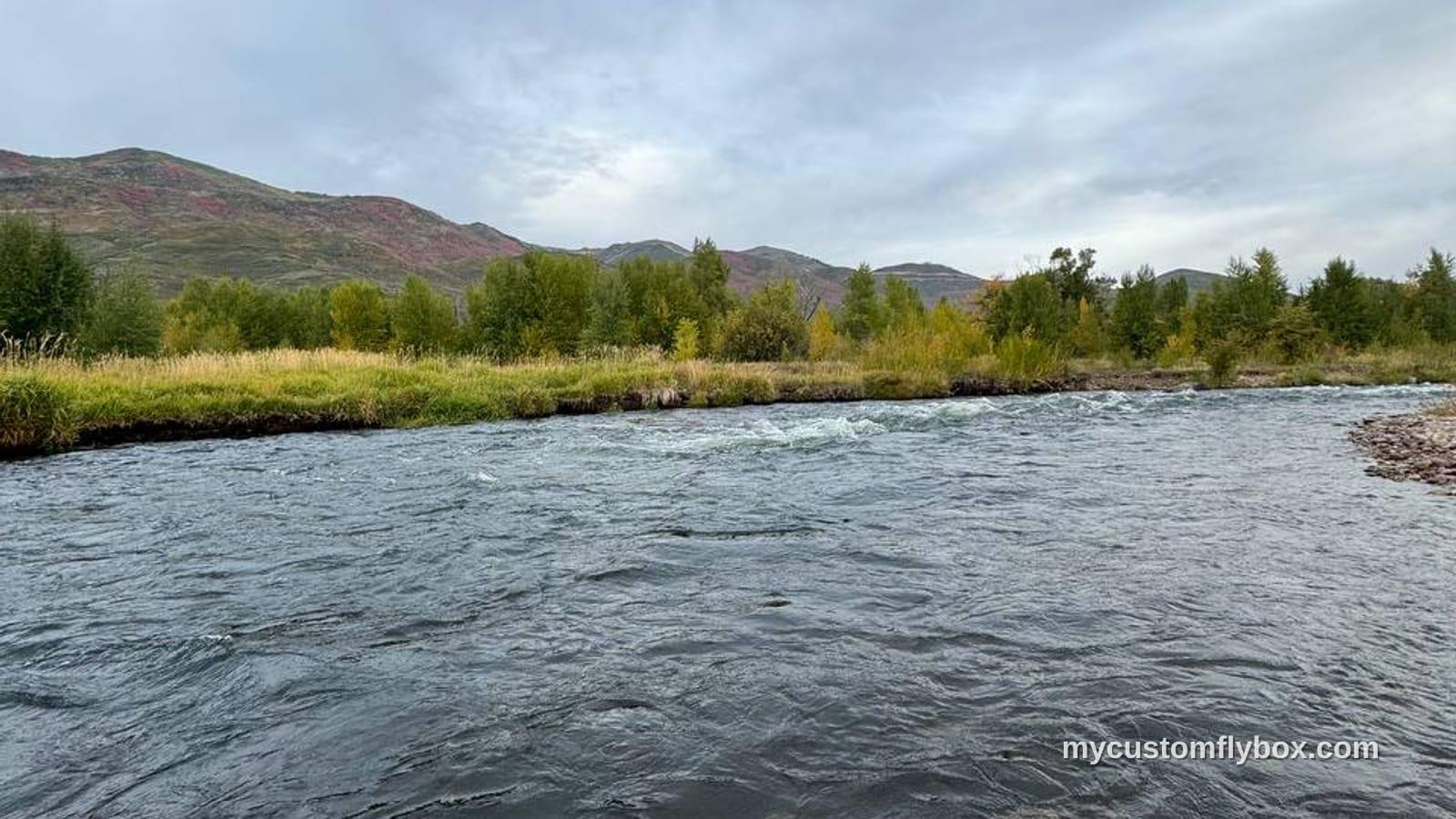 A fast-moving trout river bordered by grass and trees below cloudy mountain skies