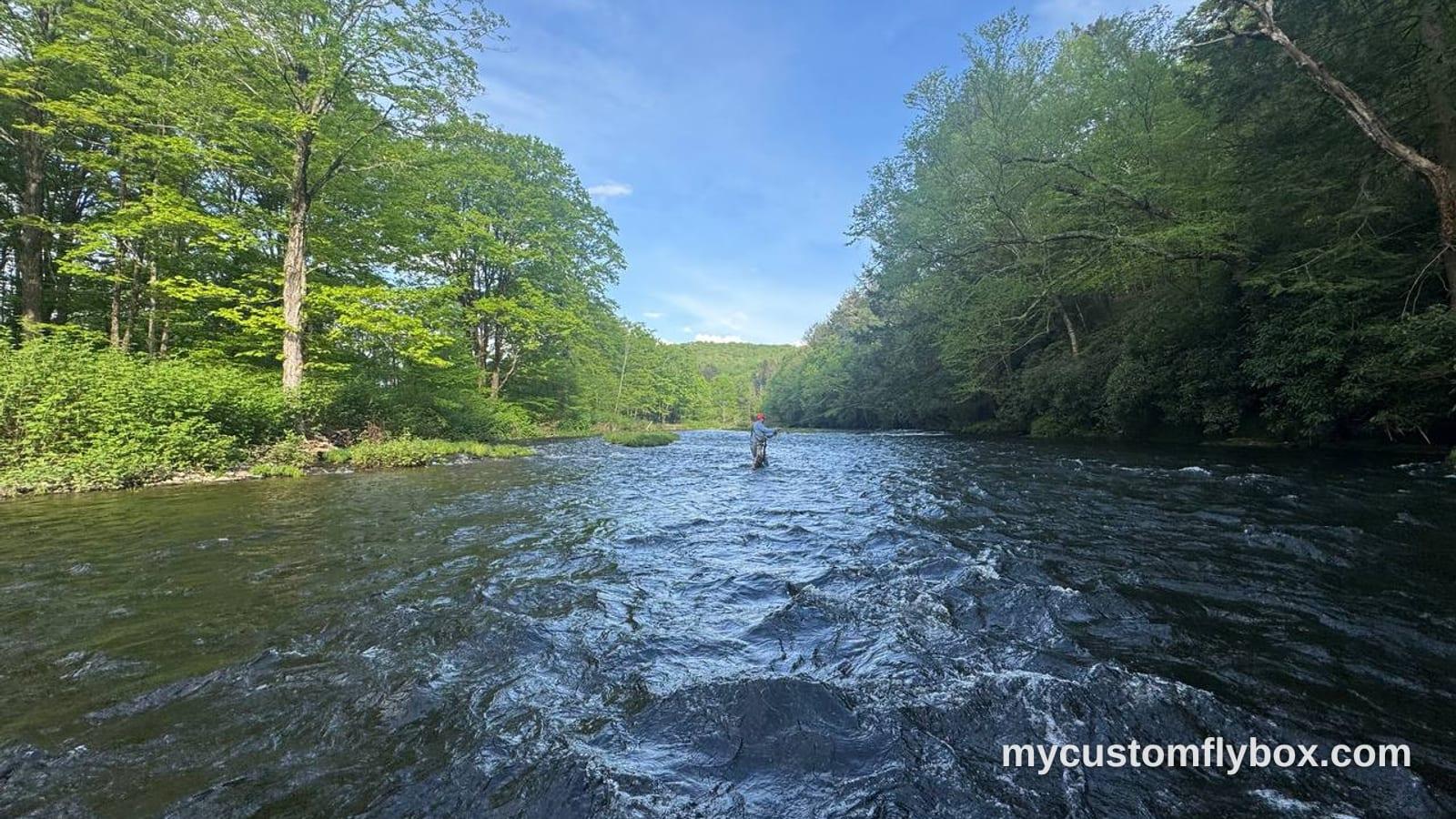 Angler wading a full trout river bordered by green summer trees
