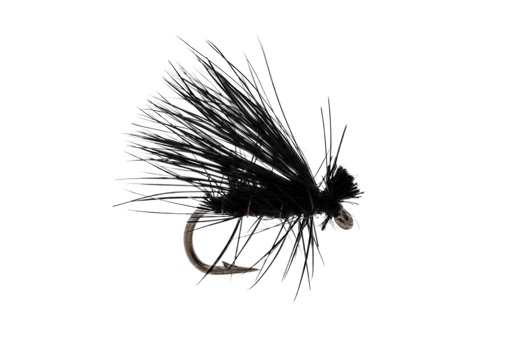 Black Caddis