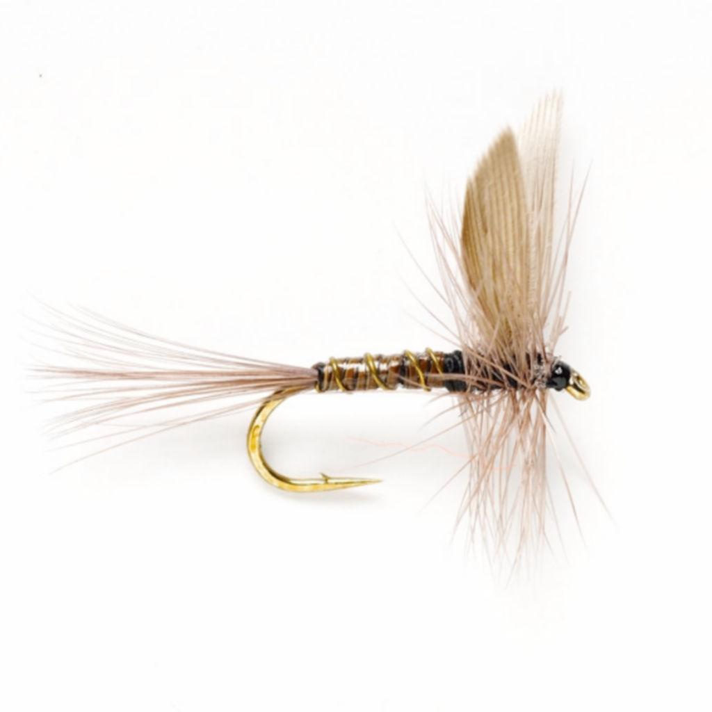 Blue Quill