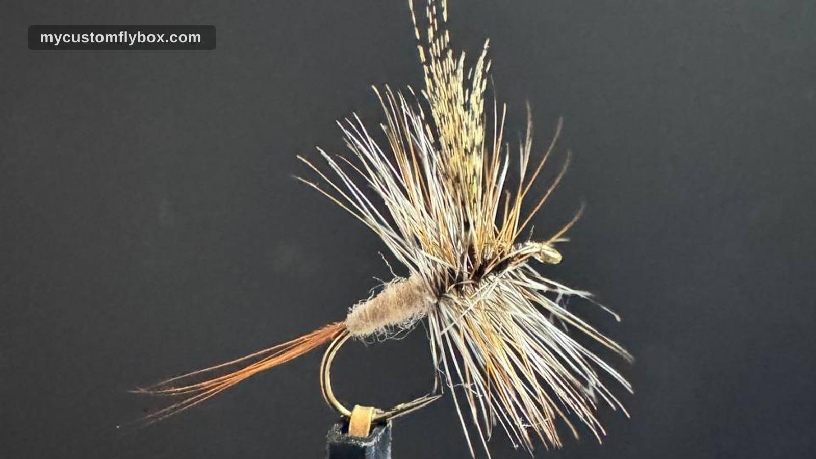 Close-up of a cream-bodied dry fly with brown hackle in the tying vise