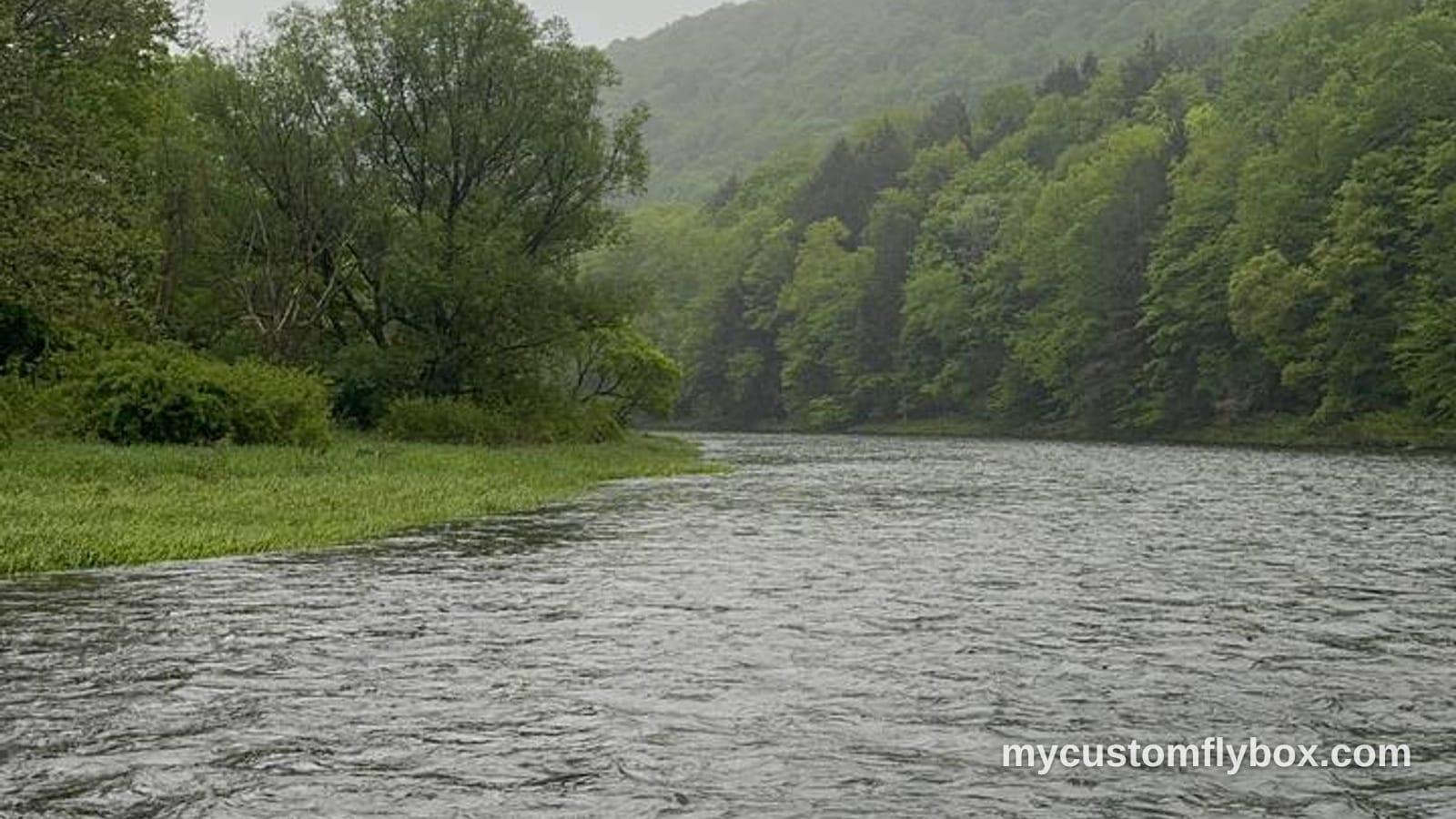Rainy drift boat view of a wooded Catskills trout river in spring