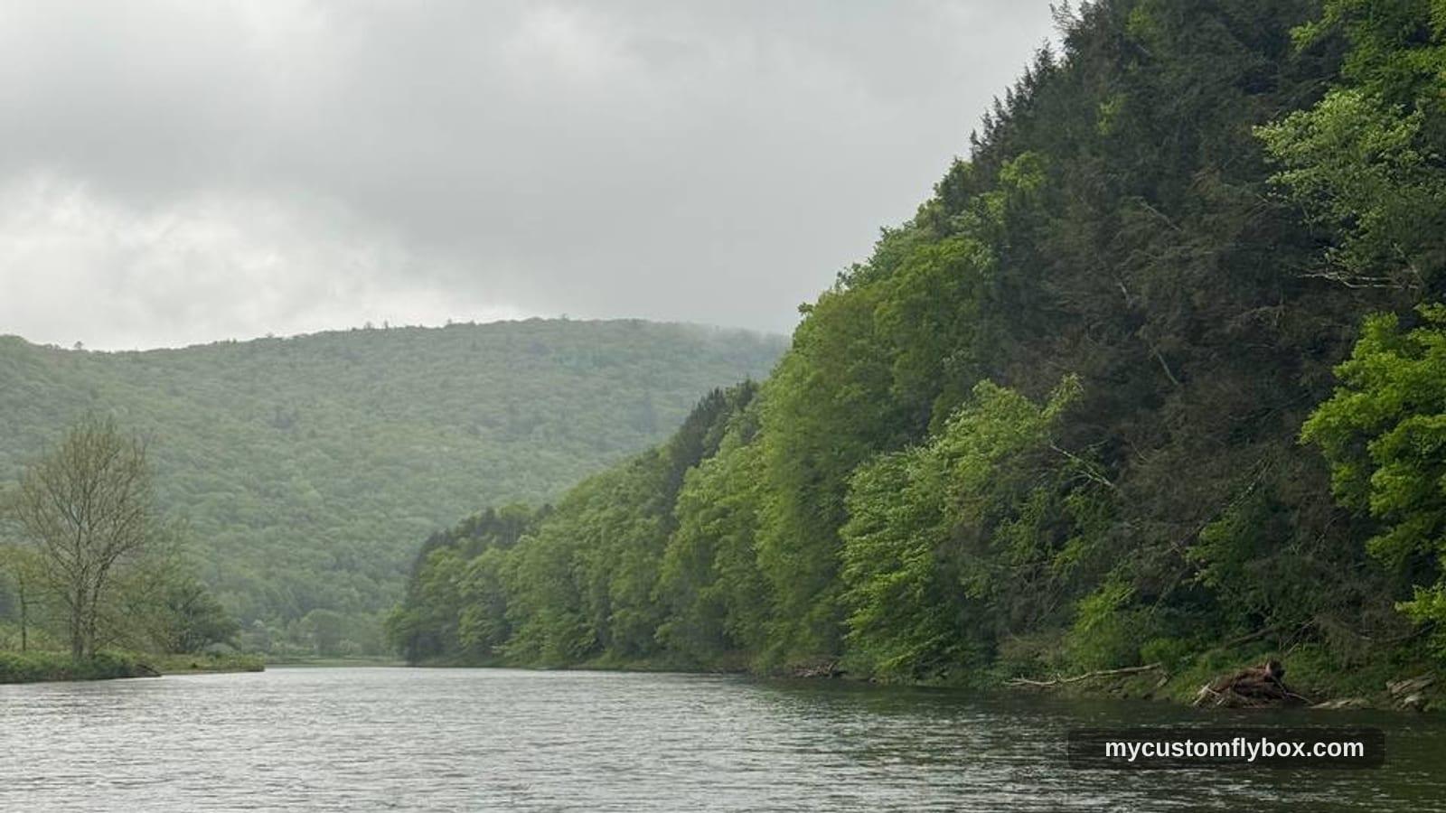 Rainy view down the West Branch Delaware River with wooded hillsides and cold trout water