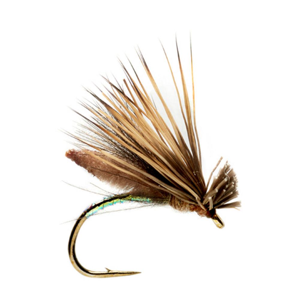 Palomino Caddis