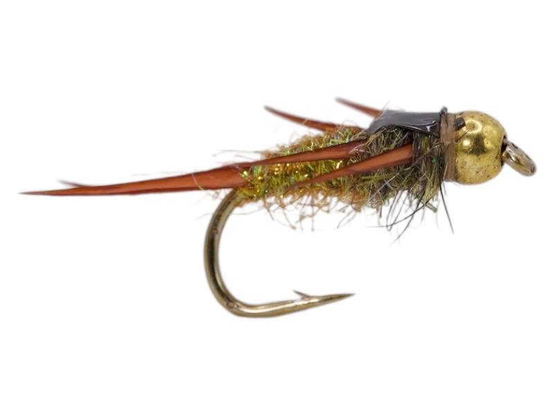 Golden Stonefly