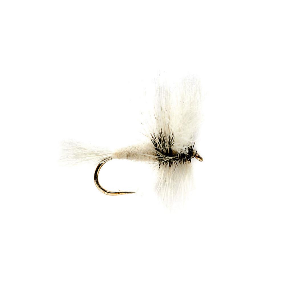 White Wulff