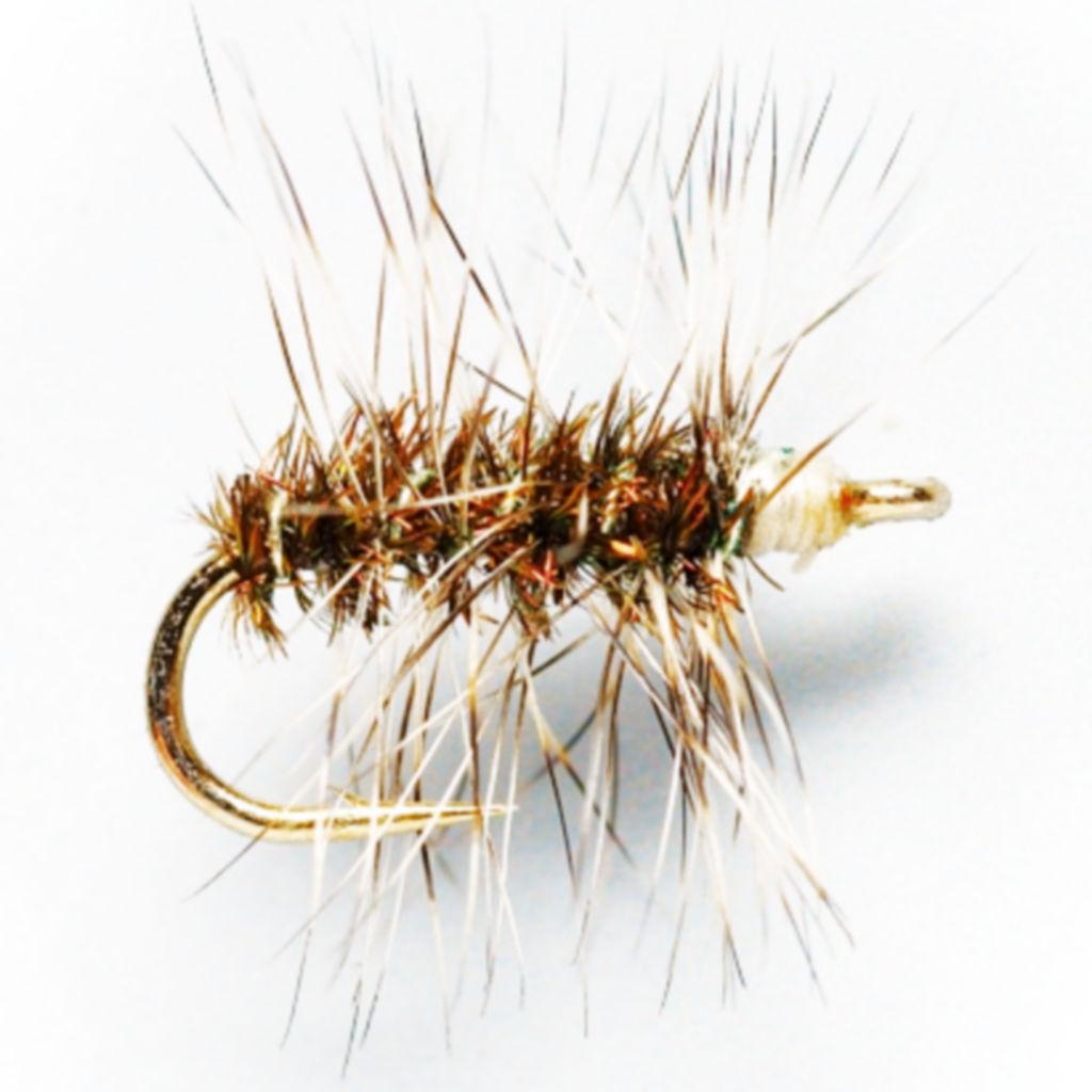 Griffith’s Gnat