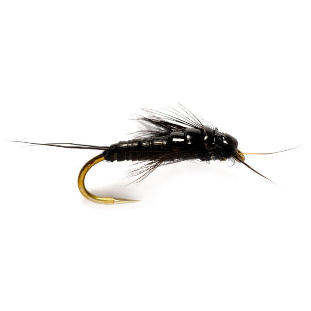 Little Black Stonefly